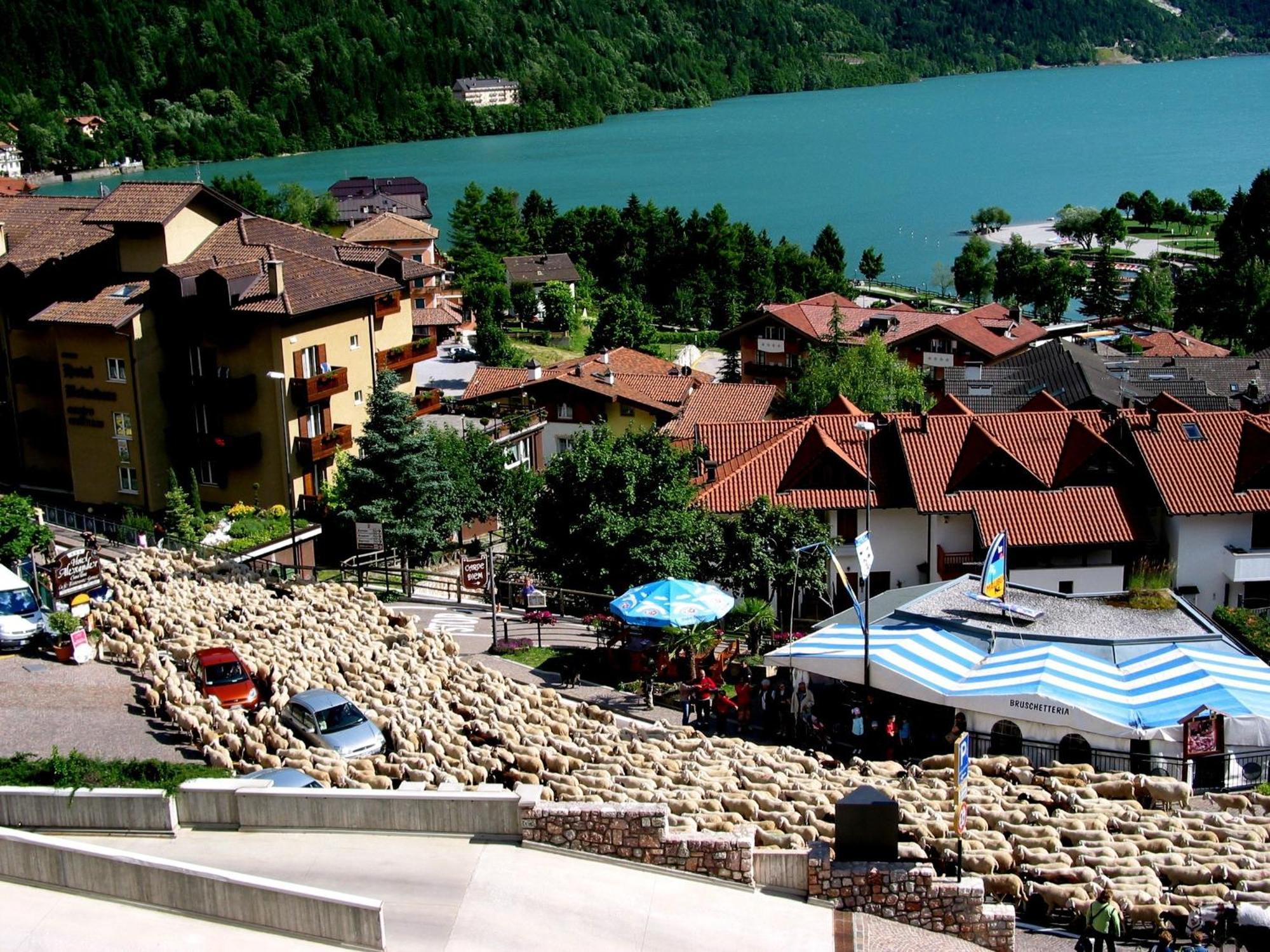 Albergo Stella Alpina Мольвено Екстер'єр фото